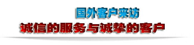 國(guó)外客戶來(lái)訪-2。。.jpg